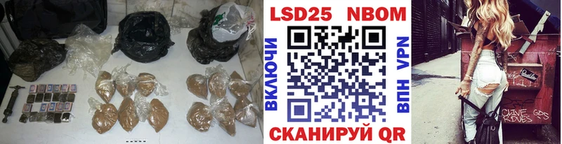 закладка  Шенкурск  Лсд 25 экстази ecstasy 