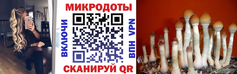 Псилоцибиновые грибы мухоморы  Шенкурск 